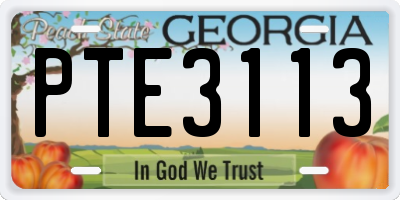 GA license plate PTE3113