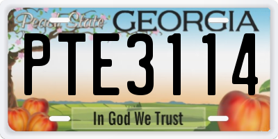 GA license plate PTE3114