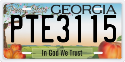 GA license plate PTE3115