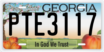 GA license plate PTE3117