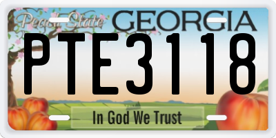 GA license plate PTE3118