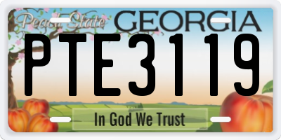 GA license plate PTE3119