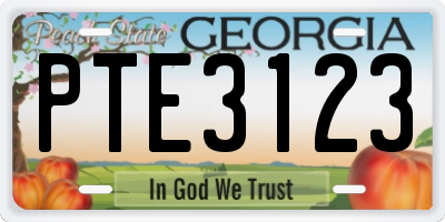 GA license plate PTE3123