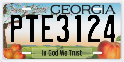 GA license plate PTE3124