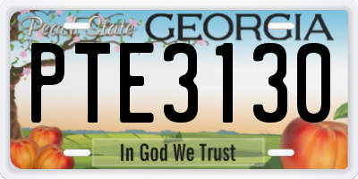 GA license plate PTE3130