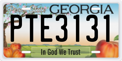 GA license plate PTE3131