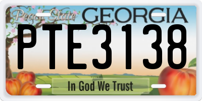 GA license plate PTE3138