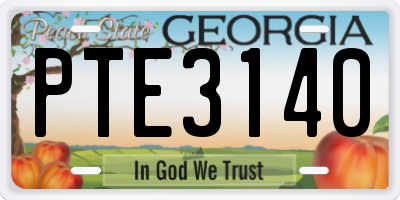 GA license plate PTE3140