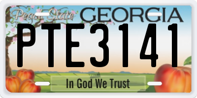 GA license plate PTE3141