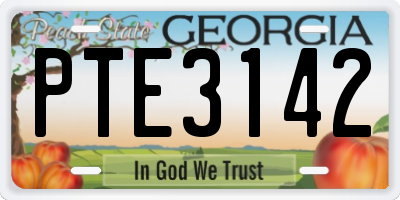 GA license plate PTE3142