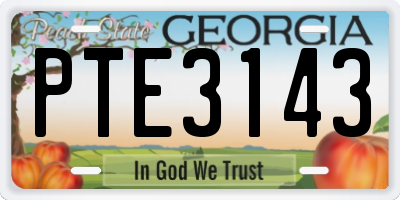 GA license plate PTE3143
