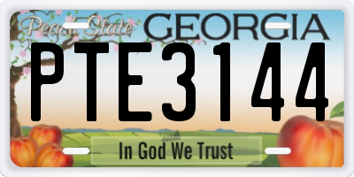 GA license plate PTE3144