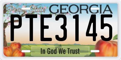 GA license plate PTE3145