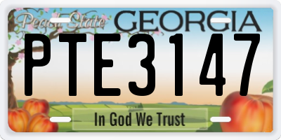 GA license plate PTE3147