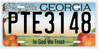GA license plate PTE3148