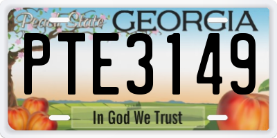 GA license plate PTE3149