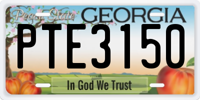 GA license plate PTE3150