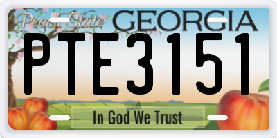 GA license plate PTE3151