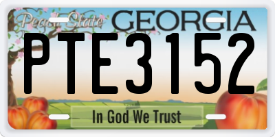 GA license plate PTE3152
