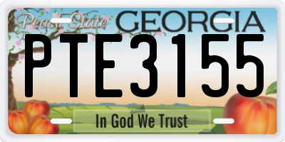GA license plate PTE3155