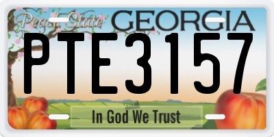 GA license plate PTE3157