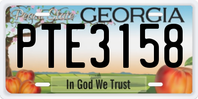 GA license plate PTE3158