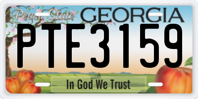 GA license plate PTE3159