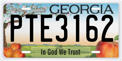 GA license plate PTE3162