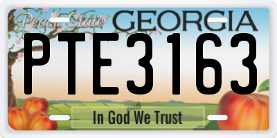 GA license plate PTE3163