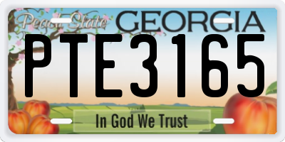 GA license plate PTE3165