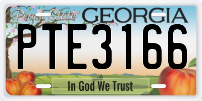 GA license plate PTE3166