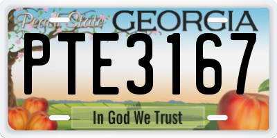 GA license plate PTE3167