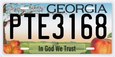 GA license plate PTE3168