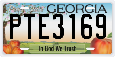 GA license plate PTE3169