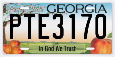 GA license plate PTE3170