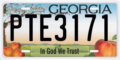 GA license plate PTE3171