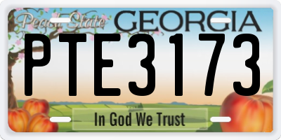 GA license plate PTE3173