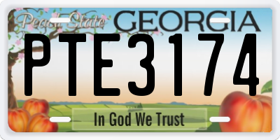 GA license plate PTE3174