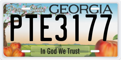 GA license plate PTE3177