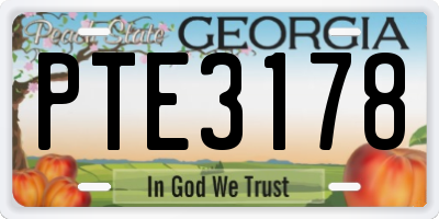 GA license plate PTE3178