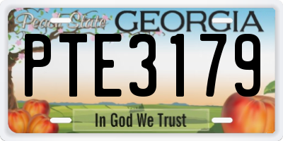 GA license plate PTE3179