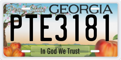 GA license plate PTE3181
