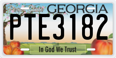 GA license plate PTE3182