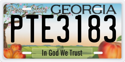 GA license plate PTE3183