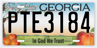 GA license plate PTE3184