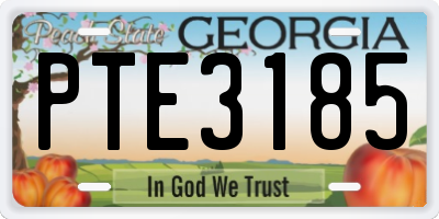 GA license plate PTE3185