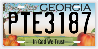 GA license plate PTE3187
