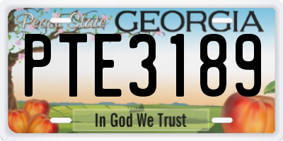 GA license plate PTE3189