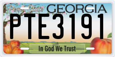 GA license plate PTE3191