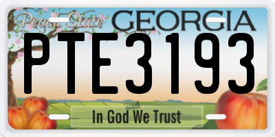 GA license plate PTE3193